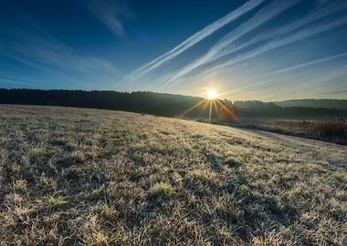 Agriculture Autumn Backgro
