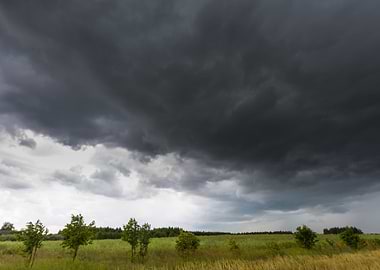 Landscape Grass Weather Sk