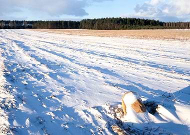 Background Beautiful Beaut