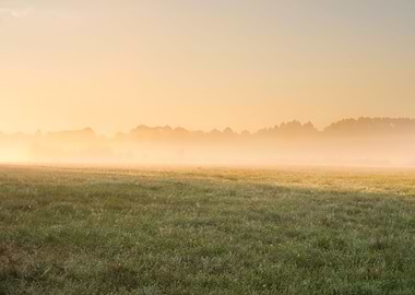Sunset Meadow Farm Outdoor