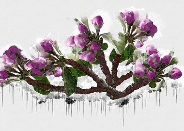 Flower watercolor paint