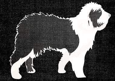 Shetland Sheepdog drawing