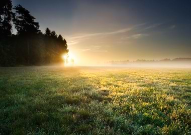 Sunset Meadow Farm Outdoor