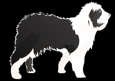 Shetland Sheepdog drawing