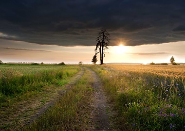 Growth Landscaped Green Cr