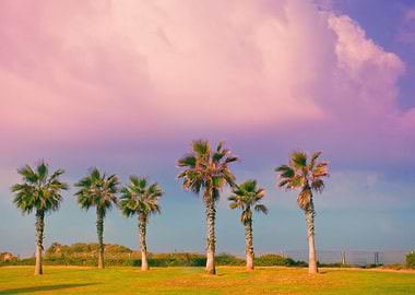 Agriculture Arid Backgroun