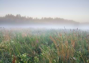 Sunset Meadow Farm Outdoor