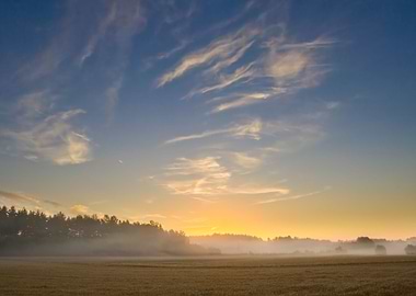 Field Hill Sunlight Meadow