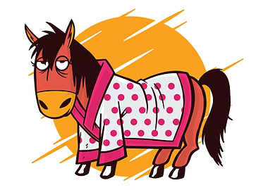 Funny horse robe