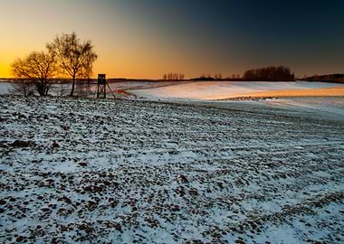 Snow Sun Winter Field Suns