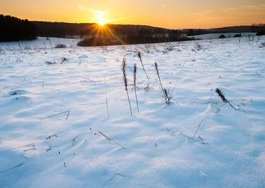 Background Beautiful Beaut