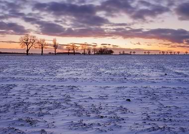 Background Beautiful Beaut