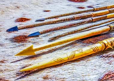 Bushman arrows