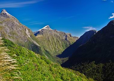 Milford Track Day 3