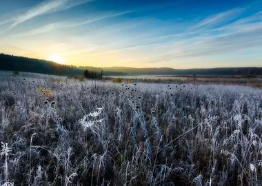 Autumn Background Beautifu