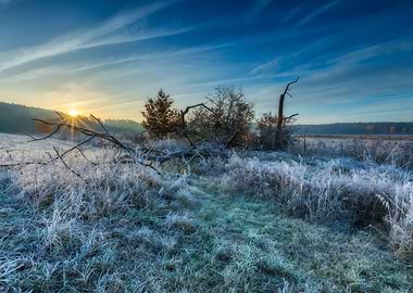 Agriculture Autumn Backgro