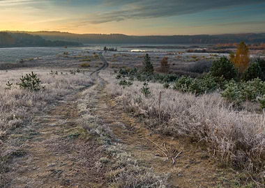Autumn Background Beautifu