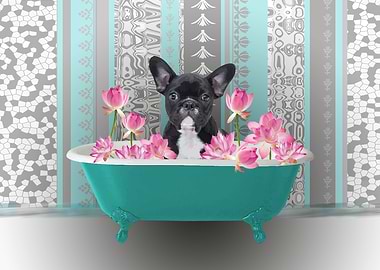 French Bulldog Bathtub 1