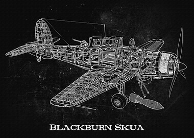 Blackburn Skua