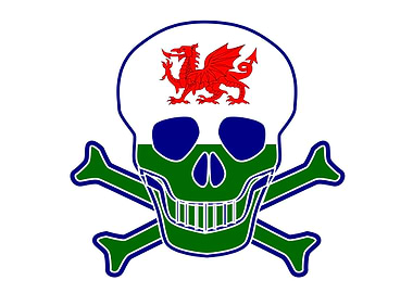 Welsh Flag Skull