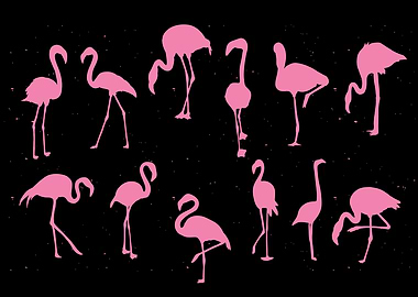 Pink Flamingos