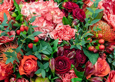 Closeup assortment Flowers