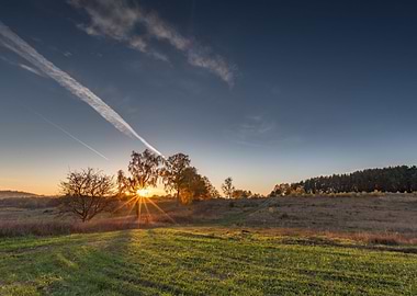 Autumn Background Beautifu