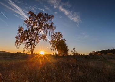 Autumn Background Beautifu
