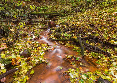 Fall Red Europe Landscape