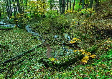 Fall Red Europe Landscape