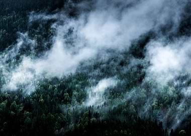 Foggy Mountain Morning