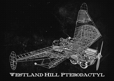Westland Hill Pterodactyl