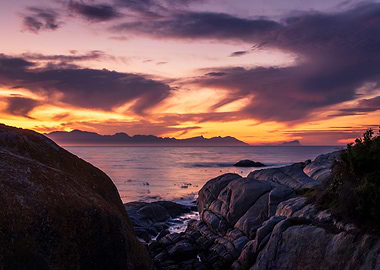 Boulders beach