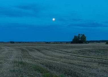 Sky Agriculture Landscape