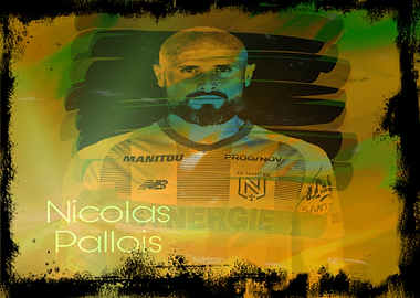 4 Nicolas PALLOIS FCN