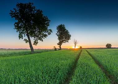 Agricultural Agriculture B