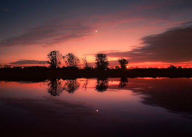 Under a Glass Moon Light