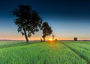 Agricultural Agriculture B