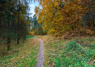 Fall Red Europe Landscape