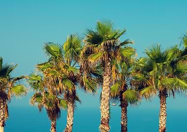 Beautiful Blue City Date E