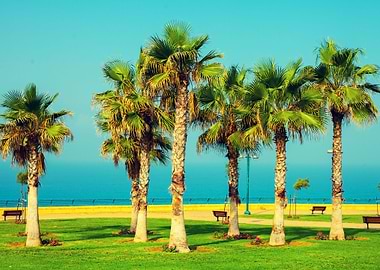 Beautiful Blue City Date E