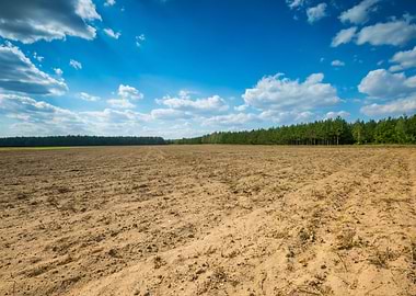 Horizon Field Sky Environm