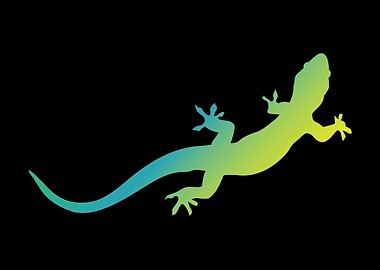 Lizards Bearded Dragons Re