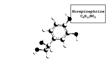 Norepinephrine