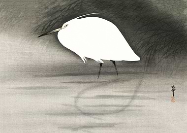Egret