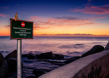 Boulders beach