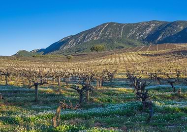 Serra da Arrabida Portugal