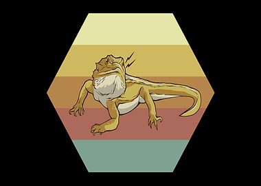 Lizards Bearded Dragons Re