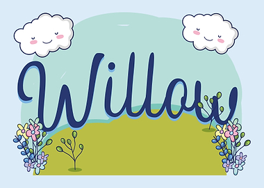 WILLOW Baby Name Sign Gift