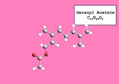 Geranyl Acetate